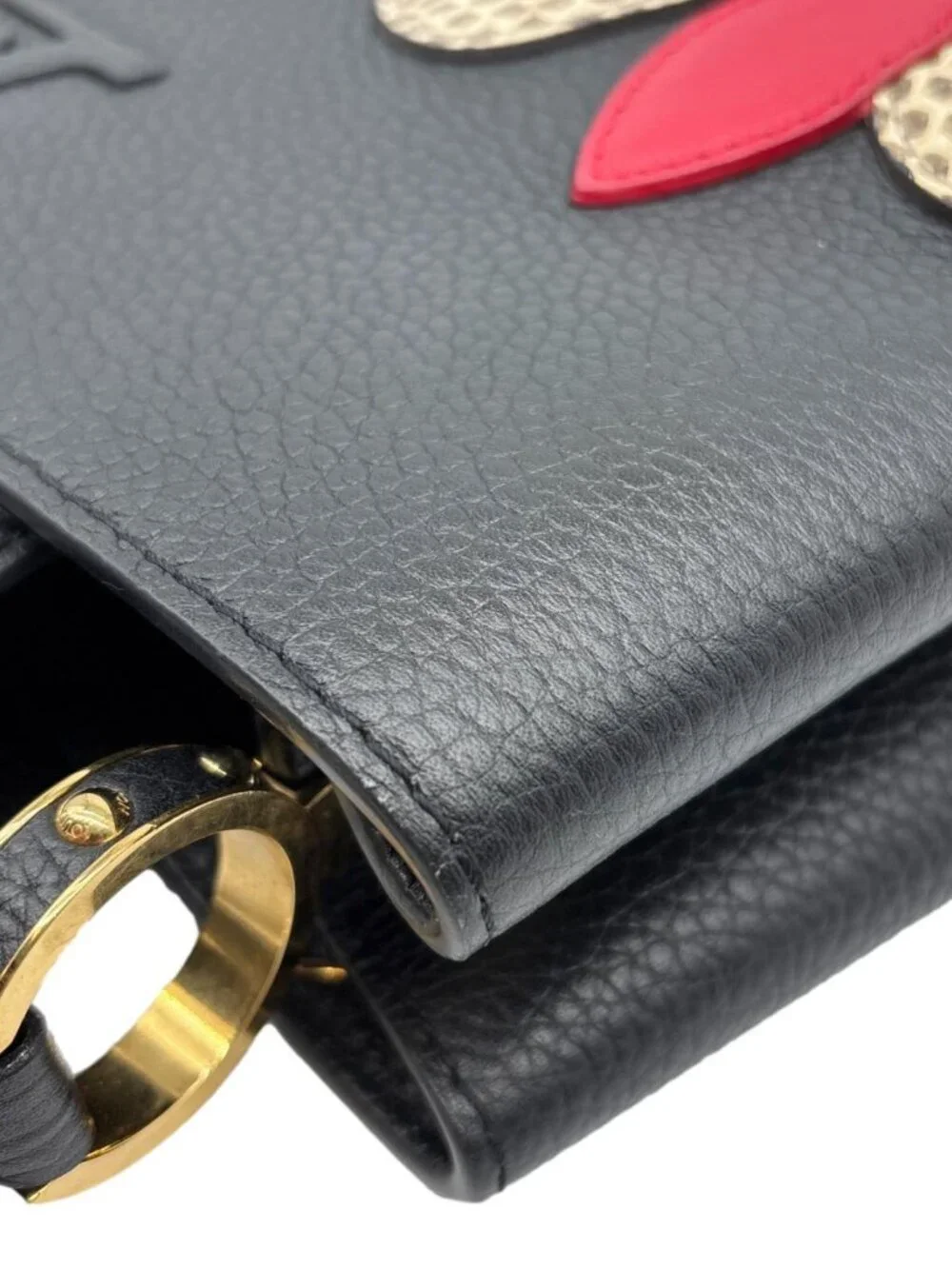 Louis Vuitton item details